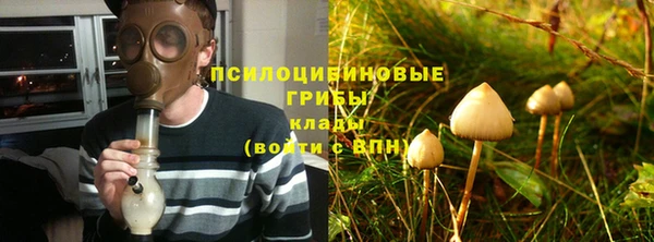 не бодяженный Приозерск