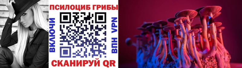 KRAKEN зеркало  Красково  Псилоцибиновые грибы Magic Shrooms 